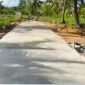 Jalan beton di Desa Sungai Sebesi Karimun dari hasil pembangunan lewat PISEW aspirasi Cen Sui Lan. Foto: Istimewa 