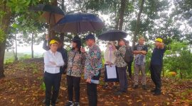 Cen Sui Lan (kiri), anggota fraksi golkar di dpr dapil kepri turun ke tanjung banon di rempang, batam, bareng diana kusumastuti, dirjen cipta karya kementerian pupr melihat lokasi sekaligus site plan keperluan sarpras di lokasi relokasi proyek rempang eco city. Foto: Istimewa 