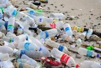 Ilustrasi. Foto: Istimewa 