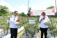 Gubernur Kepulauan Riau H. Ansar Ahmad menyerahkan bantuan berupa 1 unit alat potong rumput, 2 unit mesin Robin dan 100 liter pupuk organik cair kepada petani cabai di Kampung Sidodadi, Kecamatan Moro Kelurahan Moro Timur, Kabupaten Karimun, Rabu (20/12/2023). Foto: Diskominfo Kepri