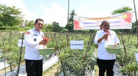 Gubernur Kepulauan Riau H. Ansar Ahmad menyerahkan bantuan berupa 1 unit alat potong rumput, 2 unit mesin Robin dan 100 liter pupuk organik cair kepada petani cabai di Kampung Sidodadi, Kecamatan Moro Kelurahan Moro Timur, Kabupaten Karimun, Rabu (20/12/2023). Foto: Diskominfo Kepri