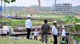 Presiden Jokowi mengunjungi area Sumbu Kebangsaan, Ibu Kota Nusantara (IKN), Kabupaten Penajam Paser Utara, Provinsi Kalimantan Timur, pada Rabu (20/12/2023). Foto: BPMI Setpres.
