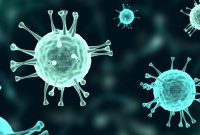 Ilustrasi. Foto: PEXELS