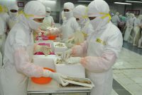 Proses pengolahan udang untuk ekspor di salah satu unit pengolahan ikan yang berlokasi di Kabupaten Sidoarjo Jawa Timur. Foto: Dok. KKP