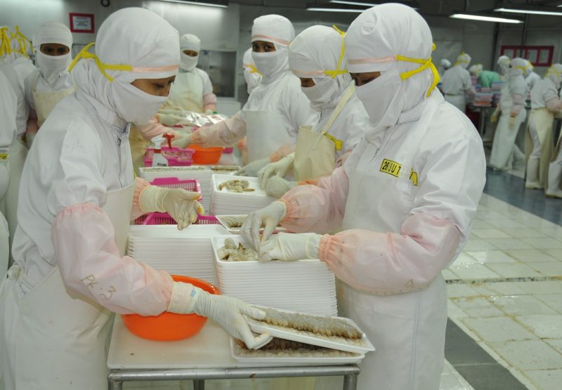 Proses pengolahan udang untuk ekspor di salah satu unit pengolahan ikan yang berlokasi di Kabupaten Sidoarjo Jawa Timur. Foto: Dok. KKP