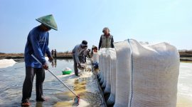 Kementerian Kelautan dan Perikanan (KKP) melalui Direktorat Jenderal Pengelolaan Kelautan dan Ruang Laut mencatatkan keberhasilan produksi garam nasional sebesar 2,5 juta ton atau sebesar 147 persen dari target capaian yang ditetapkan 2023 sebesar 1,7 juta ton. Foto: KKP