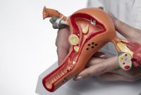 Ilustrasi. Foto: Kemenkes