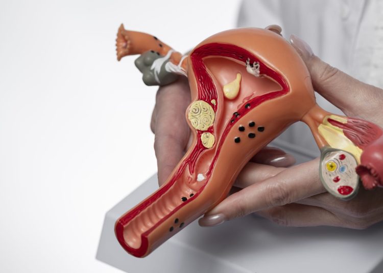 Ilustrasi. Foto: Kemenkes