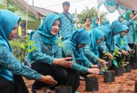 Gerakan Tanam Cabai Nasional (Gertam) serentak pada peringatan Hari Kesatuan Gerak PKK ke-52 tahun 2024 di Kebun PKK kota Tanjungpinang. Foto: Diskominfo Kepri