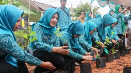 Gerakan Tanam Cabai Nasional (Gertam) serentak pada peringatan Hari Kesatuan Gerak PKK ke-52 tahun 2024 di Kebun PKK kota Tanjungpinang. Foto: Diskominfo Kepri