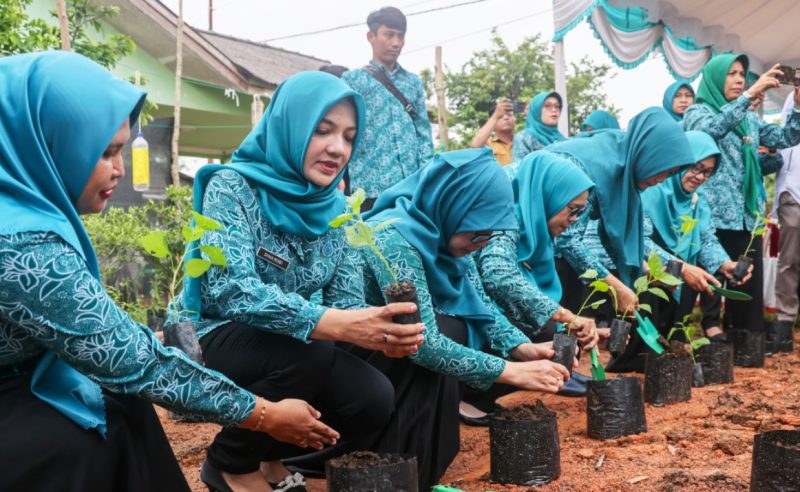 Gerakan Tanam Cabai Nasional (Gertam) serentak pada peringatan Hari Kesatuan Gerak PKK ke-52 tahun 2024 di Kebun PKK kota Tanjungpinang. Foto: Diskominfo Kepri