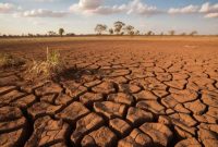 Ilustrasi kemarau. Foto: Shutterstock