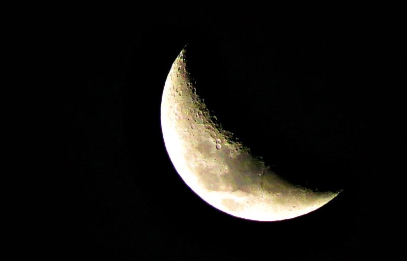 Ilustrasi. Foto: Istimewa