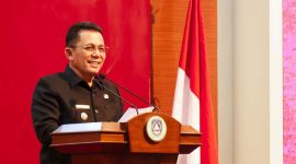 Gubernur Kepri Ansar Ahmad. Foto: Istimewa