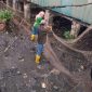 Upaya menciptakan kawasan pesisir Tanjungpinang yang bersih dan sehat menjadi salah satu atensi Pemerintah Kota Tanjungpinang tahun ini. Tidak hanya menggerakkan pembersihan sampah pesisir melalui kolaborasi seluruh jajaran OPD, dan meningkatkan partisipasi masyarakat, Penjabat Wali Kota Tanjungpinang Hasan, S.Sos menyiapkan anggaran pemasangan jaring penahan sampah di kawasan pesisir. Foto: Diskominfo Tanjungpinang