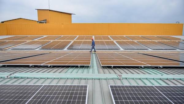 Ilustrasi Pembangkit Listrik Tenaga Surya (PLTS). Foto: ANTARA/Raisan Al Farisi