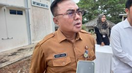Kadis DP3 Tanjungpinang Robert Lukman. Foto: Diskominfo Tanjungpinang