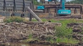 PT. Nusa Persada Aphena (NPA) terus menghadirkan inovasi dan memberikan kontribusi positif bagi daerah hingga saat ini, khususnya dalam hal memenuhi kebutuhan kayu dalam pembangunan kota Batam. Foto: INIKEPRI.COM