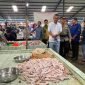 Penjabat (Pj) Wali Kota Tanjungpinang, Andri Rizal, didampingi Dinas Perdagangan dan Perindustrian (Disdagin) dan Bagian Ekonomi lakukan monitoring pasar tradisional, pasar moderen serta distributor menjelang lebaran idul adha 2024. Foto: Diskominfo Tanjungpinang
