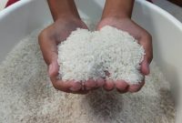 Ilustrasi. Foto: Istimewa