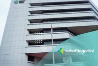 Program FASTEMI (Farmako Invasif Strategi Tatalaksana ST Elevation Myocardial Infarction/STEMI) dimulai sejak November 2023, rencananya akan menyasar 34 provinsi di Indonesia. Foto: Kemenkes