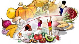 Ilustrasi. Foto: Istimewa