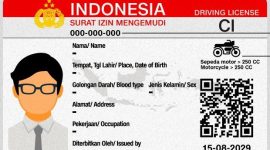 Ilustrasi. Foto: Istimewa
