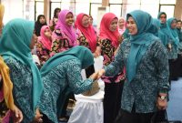 Hj. Dewi Kumalasari Ansar menghadiri Workshop Peningkatan Pelayanan Kader Posyandu Kota Tanjungpinang di Gedung GOW Sekretariat PKK Tanjungpinang, Senggarang. Foto: Diskominfo Kepri