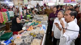 Presiden Joko Widodo mengunjungi Delimas Pasar Raya Lubuk Pakam, Kabupaten Deli Serdang, pada Selasa, 10 September 2024. Foto: Galeri InfoPublik