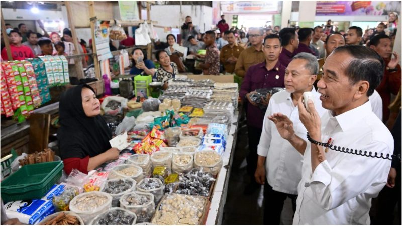 Presiden Joko Widodo mengunjungi Delimas Pasar Raya Lubuk Pakam, Kabupaten Deli Serdang, pada Selasa, 10 September 2024. Foto: Galeri InfoPublik
