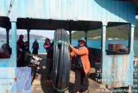 Melalui dana aspirasinya saat menjabat anggota komisi V DPR-RI, Cen Sui Lan mengalokasikan anggaran sebesar Rp 4,8 miliar melalui untuk membangun Penyediaan Air Minum dan Sanitasi Berbasis Masyarakat (Pamsimas) pada tahun 2024 di Natuna. Foto: INIKEPRI.COM