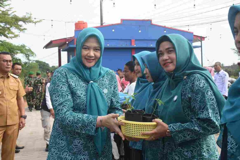 Penjabat (Pj.) Ketua TP PKK Kota Tanjungpinang, Efa Sri Nurlatifa Khifayana, menyerahkan bibit cabai kepada Ketua PKK Kecamatan dan Kelurahan di wilayah Bukit Bestari, Senin (21/10/2024). Foto: INIKEPRI.COM
