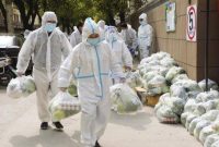 Ilustrasi. Foto: Istimewa