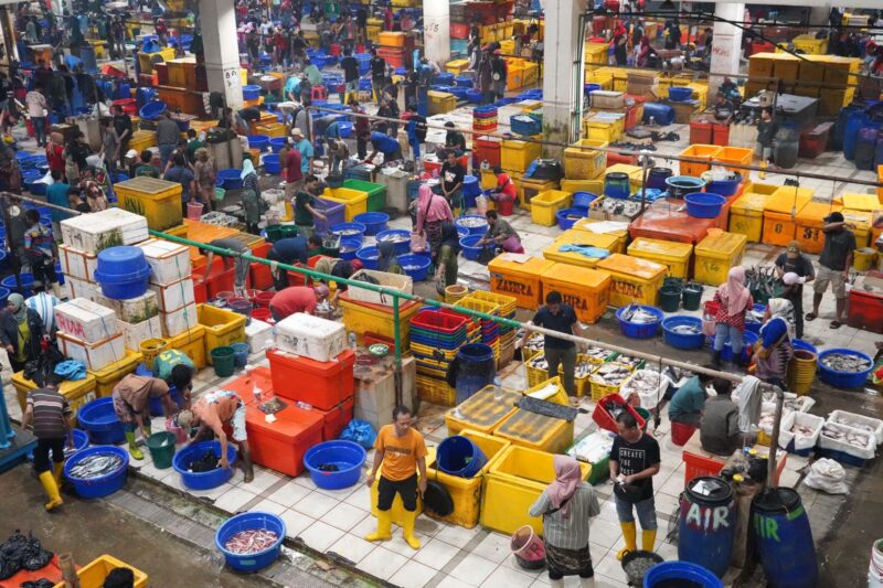 Ilustrasi. Foto: Istimewa 