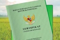 Ilustrasi. Foto: Istimewa 