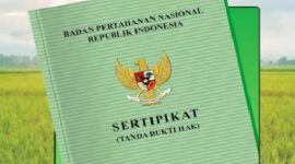Ilustrasi. Foto: Istimewa 