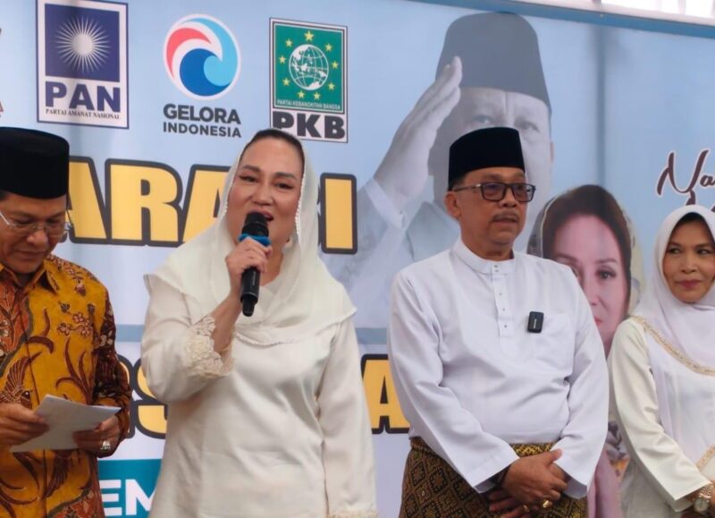 Cen Sui Lan-Jarmin. Foto: INIKEPRI.COM