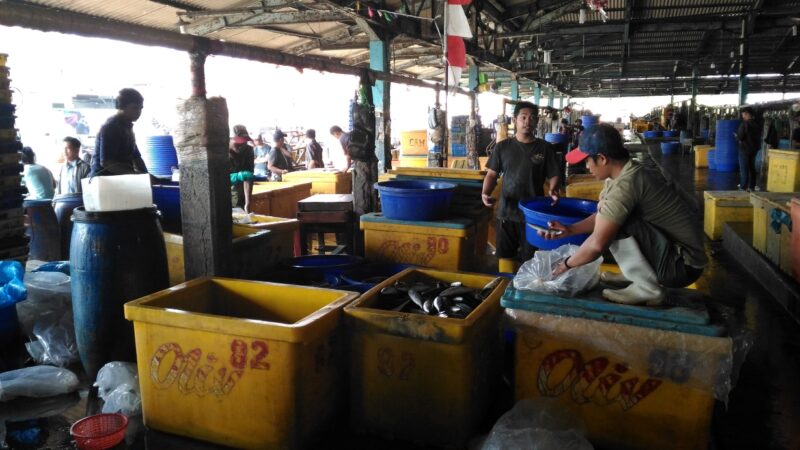 Ilustrasi. Foto: Istimewa 