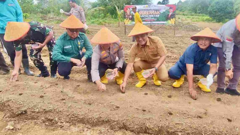 Polresta Tanjungpinang bersama Pemko dan Forkopimda menggelar penanaman bibit jagung secara serentak di Kampung Wak Lolang, Kelurahan Dompak, Kecamatan Bukit Bestari, Selasa (21/1/2025). Foto: Diskominfo Tanjungpinang 