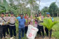 Kepolisian Sektor Singkep Barat, melaksanakan panen perdana jagung varietas Paragon di lahan seluas 1000 M² yang terletak di Desa Sungai Raya. Hasil panen mencapai 800 tongkol jagung yang dibagikan kepada warga sekitar setelah panen. Kamis, (16/1/2025). Foto: Humas Polres Lingga 