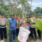 Kepolisian Sektor Singkep Barat, melaksanakan panen perdana jagung varietas Paragon di lahan seluas 1000 M² yang terletak di Desa Sungai Raya. Hasil panen mencapai 800 tongkol jagung yang dibagikan kepada warga sekitar setelah panen. Kamis, (16/1/2025). Foto: Humas Polres Lingga 