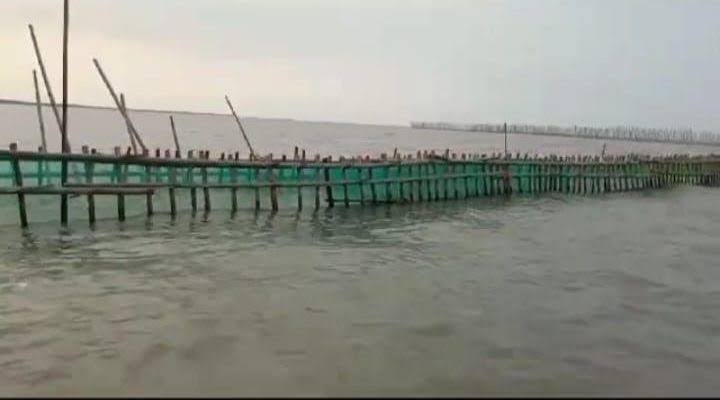 Ilustrasi. Foto: Istimewa 