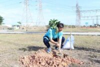 Dalam rangka memperingati bulan Kesehatan dan Keselamatan Kerja (K3) Nasional tahun 2025 yang berlangsung dari tanggal 12 Januari sampai 12 Februari, serta menyukseskan gerakan penanaman sejuta pohon untuk melestarikan lingkungan, PT PLN Batam berkolaborasi dengan PT TJK Power melaksanakan aksi penghijauan dengan melakukan penanaman pohon di situs PLTU dan Gardu Induk (GI) Tanjung Kasam, Batam, Jumat (7/2/2025). Foto: PLN BATAM/INIKEPRI.COM