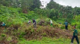 Menjelang rencana pembangunan gedung Kantor Kementerian Agama Kabupaten Kepulauan Anambas pada pagu Anggaran tahun 2025, dilaksanakan gotong royong pembersihan lahan, Rabu, (5/2/2025). Foto: INIKEPRI.COM