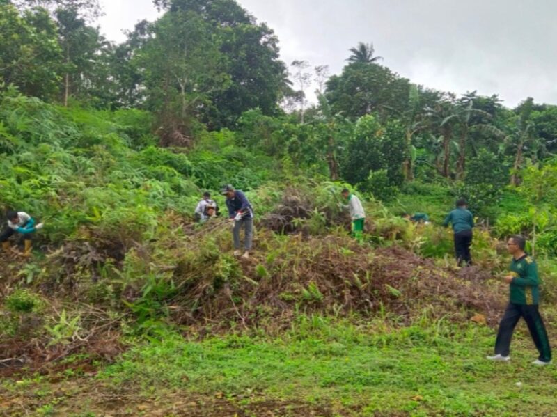 Menjelang rencana pembangunan gedung Kantor Kementerian Agama Kabupaten Kepulauan Anambas pada pagu Anggaran tahun 2025, dilaksanakan gotong royong pembersihan lahan, Rabu, (5/2/2025). Foto: INIKEPRI.COM