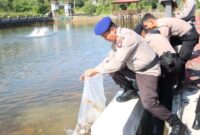 Untuk mendukung Ketahanan Pangan Nasional Asta Cita bidang perikanan, AKBP Apri Fajar Hermanto, S.I.K., Kapolres Lingga Tebar 10.000 benih ikan Nila ke kolam ketahanan pangan Polres Lingga, Sabtu (15/2/2025). Foto: INIKEPRI.COM/Polres Lingga 