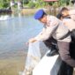 Untuk mendukung Ketahanan Pangan Nasional Asta Cita bidang perikanan, AKBP Apri Fajar Hermanto, S.I.K., Kapolres Lingga Tebar 10.000 benih ikan Nila ke kolam ketahanan pangan Polres Lingga, Sabtu (15/2/2025). Foto: INIKEPRI.COM/Polres Lingga 