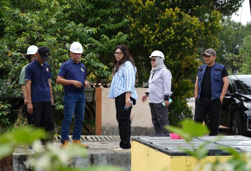 Anggota/Deputi Bidang Pelayanan Umum BP Batam, Ariastuty Sirait usai mengunjungi IPA Dam Sei Harapan dan daerah stres area di Tanjung Riau, Sabtu (15/3/2025). Foto: INIKEPRI.COM