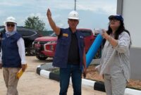 Anggota Bidang Pelayanan Umum BP Batam, Ariastuty Sirait. Foto: INIKEPRI.COM