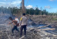 Personel Polsek Dabo Singkep datangi Tkp Kebakaran dan berhasil memadamkan api yang membakar lahan perkebunan kelapa seluas sekitar 9 Hektar di Kampung Sungai Langkap, Desa Marok Kecil, Kecamatan Singkep Selatan, sekitar pukul 16.30 WIB. Api yang membakar lahan perkebunan kelapa dengan cepat menyebabkan kepulan asap tebal yang menjulang tinggi, Kamis (27/2/2025) sore. Foto: INIKEPRI.COM